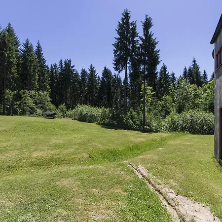 Chalet6harrachov Se Saunou * Harrachov