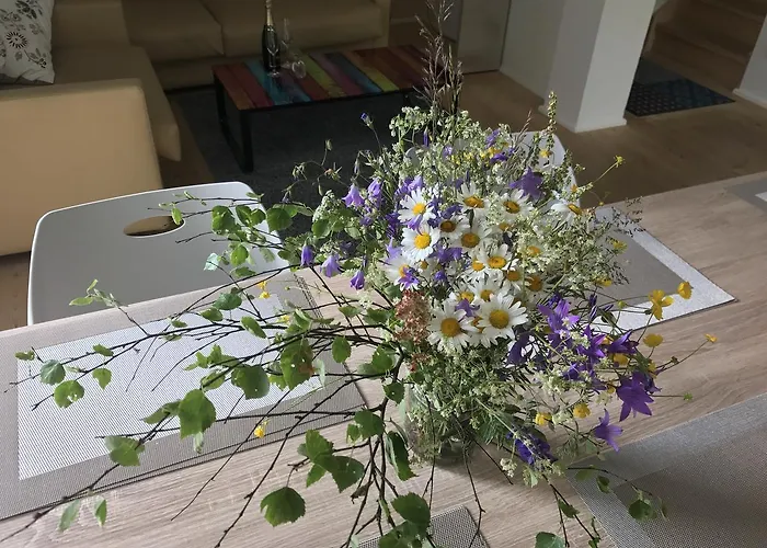 Chalet6harrachov Se Saunou シャレー